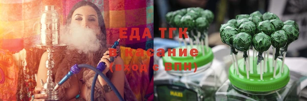 индика Осташков