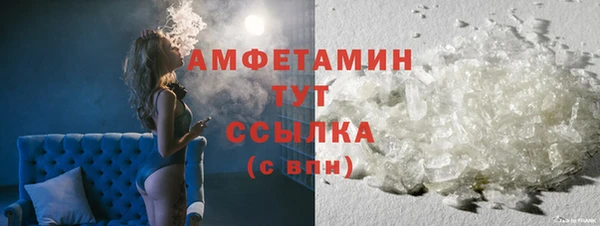 индика Осташков