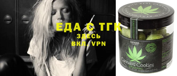 индика Осташков