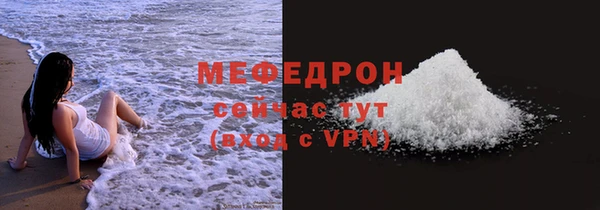 индика Осташков