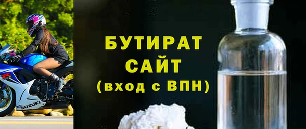 индика Осташков