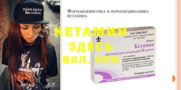 индика Осташков
