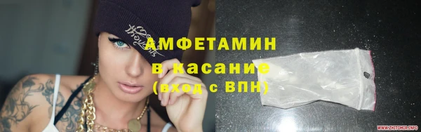 индика Осташков