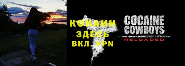 индика Осташков