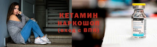индика Осташков