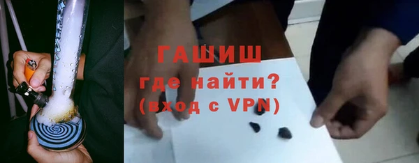 индика Осташков