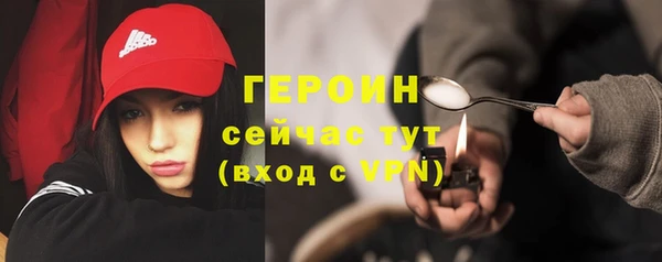 индика Осташков
