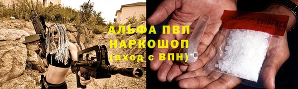 индика Осташков