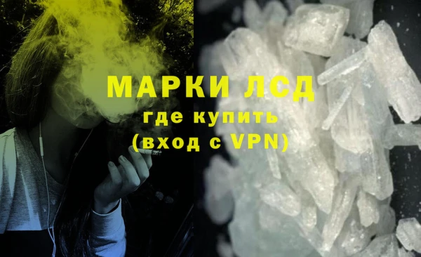 индика Осташков