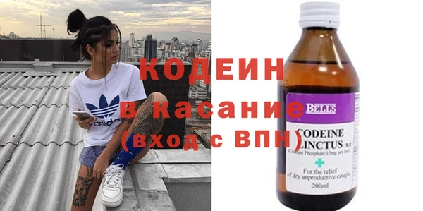 индика Осташков